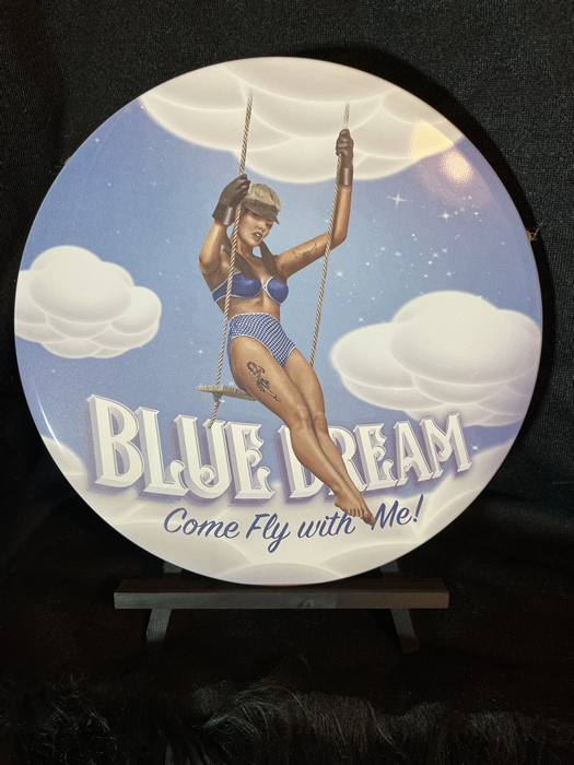 Blue Dream Pinup 30 cm x 30 cm Round Aluminum Sign