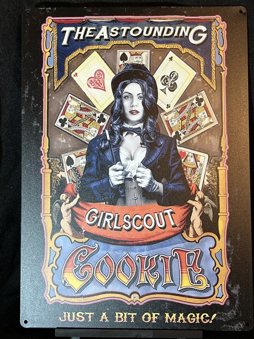 Girl Scout Cookie 32 CM x 48 CM Aluminum Sign